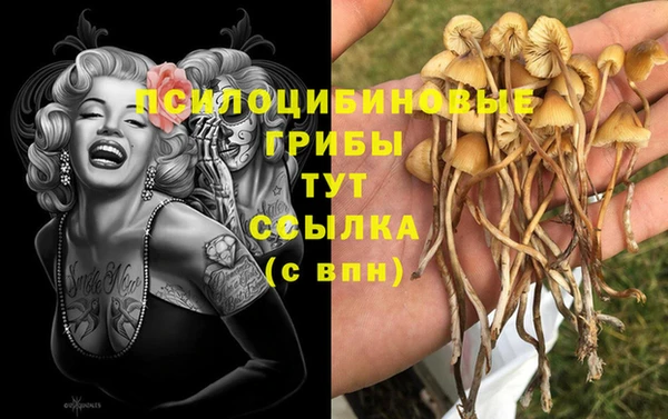 первитин Россошь